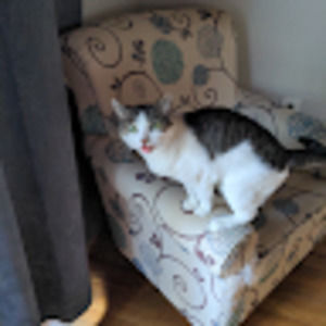 Meet your Posher, Trinity